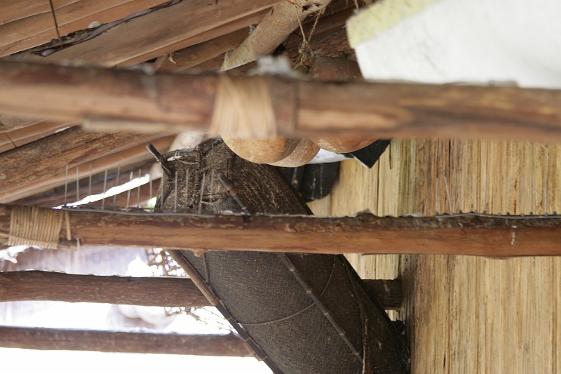 Fotoclubje Blijdorp 2008-55.jpg